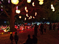 auckland-lantern-festival-15