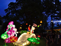 auckland-lantern-festival-4
