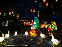 auckland-lantern-festival-5