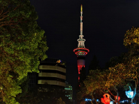 auckland-lantern-festival-8