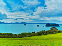 coromandel-peninsula-1