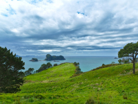 coromandel-peninsula-2