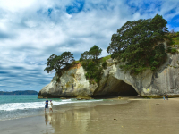 coromandel-peninsula-4