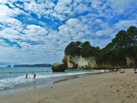 coromandel-peninsula-6