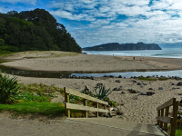 coromandel-peninsula-8