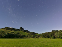 waiheke-island-1